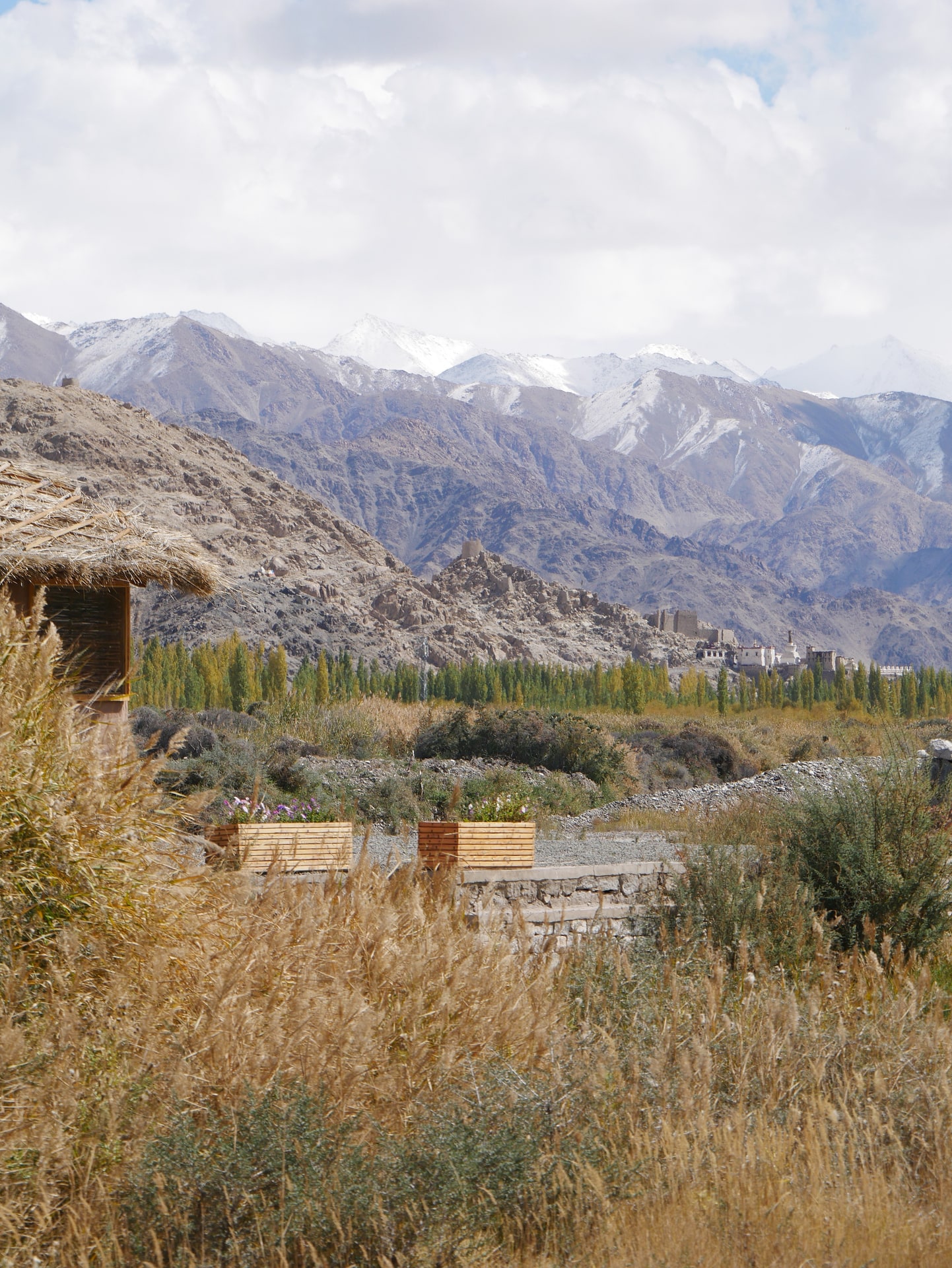 Lunch Room View to Shey Palace